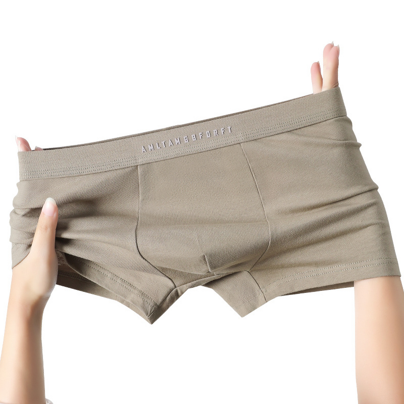 Men's Boxer Briefs Manufacturer - OEM/ODM Custom Antibacterial Seamless