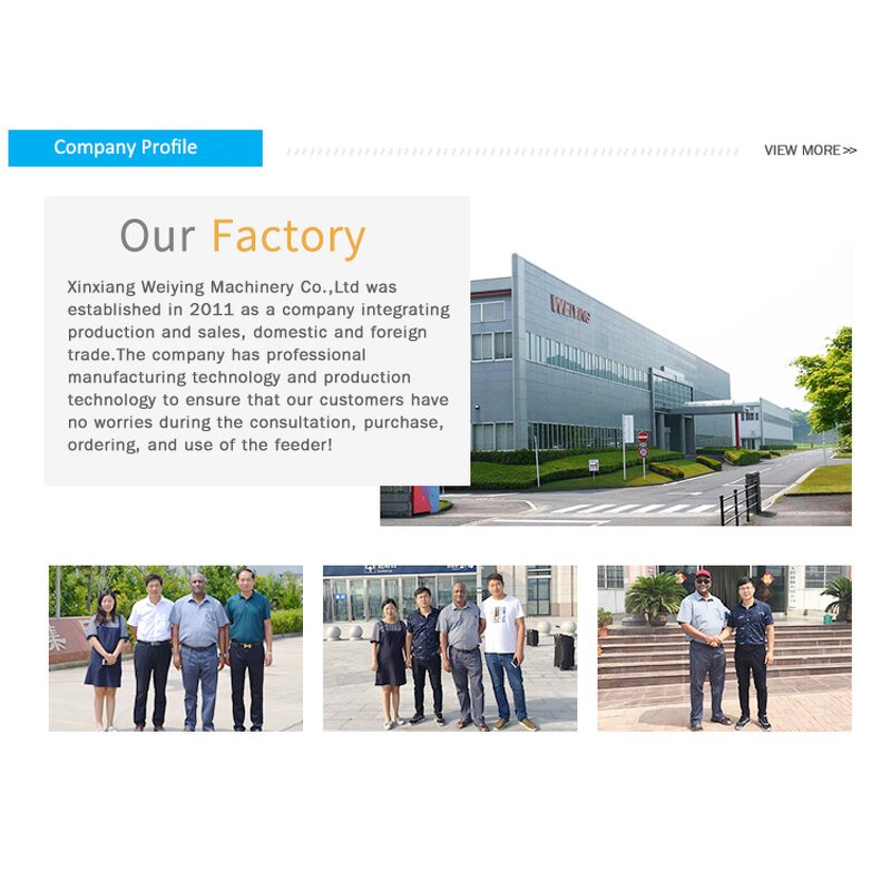 Vibrating Feeder Manufacturer - 220V GZV2 Speed Controller