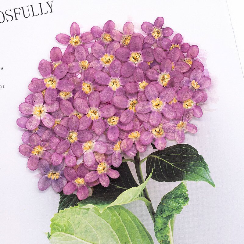 Dried Flower Resin Mold Manufacturer - Custom Pressed Flower Epoxy Silicone Mold