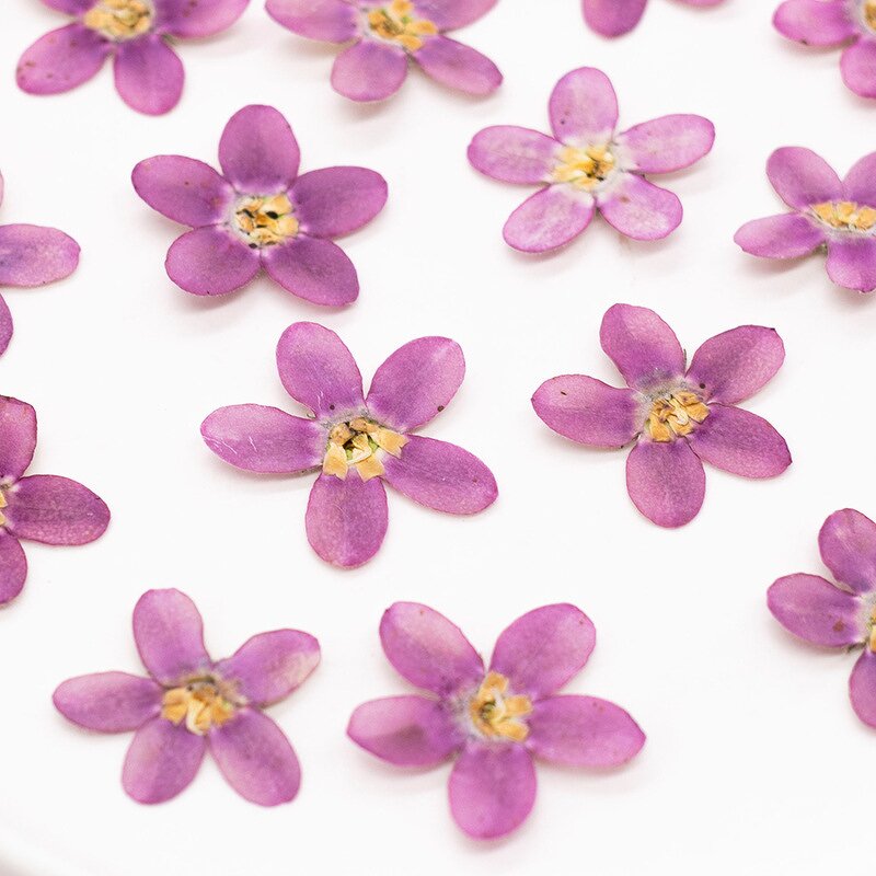 Dried Flower Resin Mold Manufacturer - Custom Pressed Flower Epoxy Silicone Mold