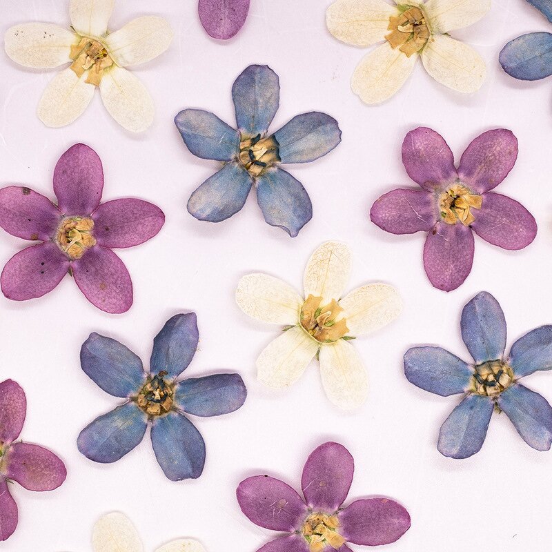 Dried Flower Resin Mold Manufacturer - Custom Pressed Flower Epoxy Silicone Mold