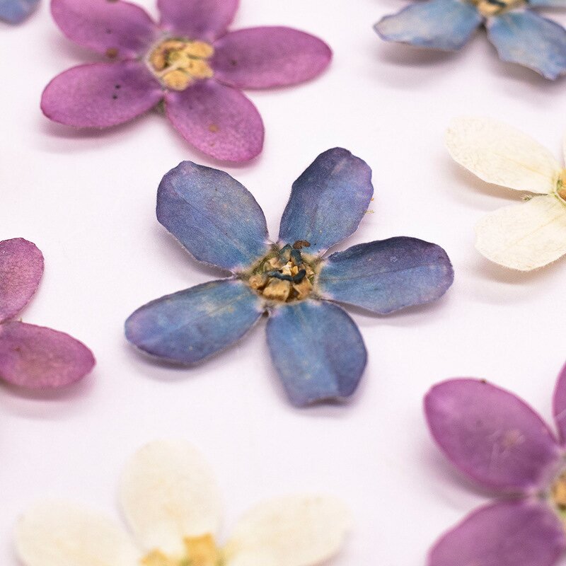 Dried Flower Resin Mold Manufacturer - Custom Pressed Flower Epoxy Silicone Mold