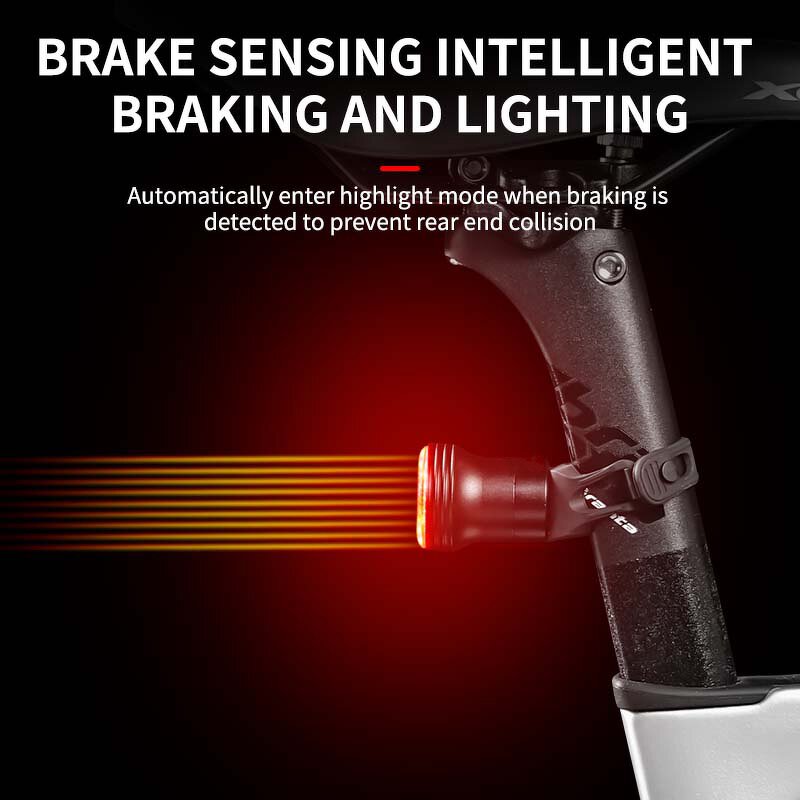 Bike Tail Light Manufacturer - USB Brake Sensing LED Warning
