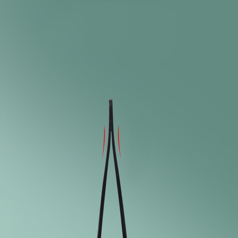 Eyebrow Tweezers Supplier - Professional Slanted Tip Personal