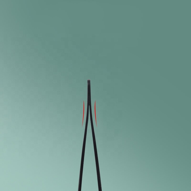 Eyebrow Tweezers Manufacturer - Custom Logo Black Slanted Tip