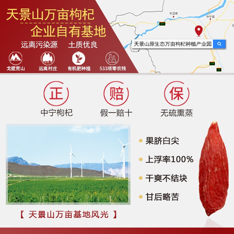 Goji Berry Manufacturer - Bulk Ningxia Organic Berry