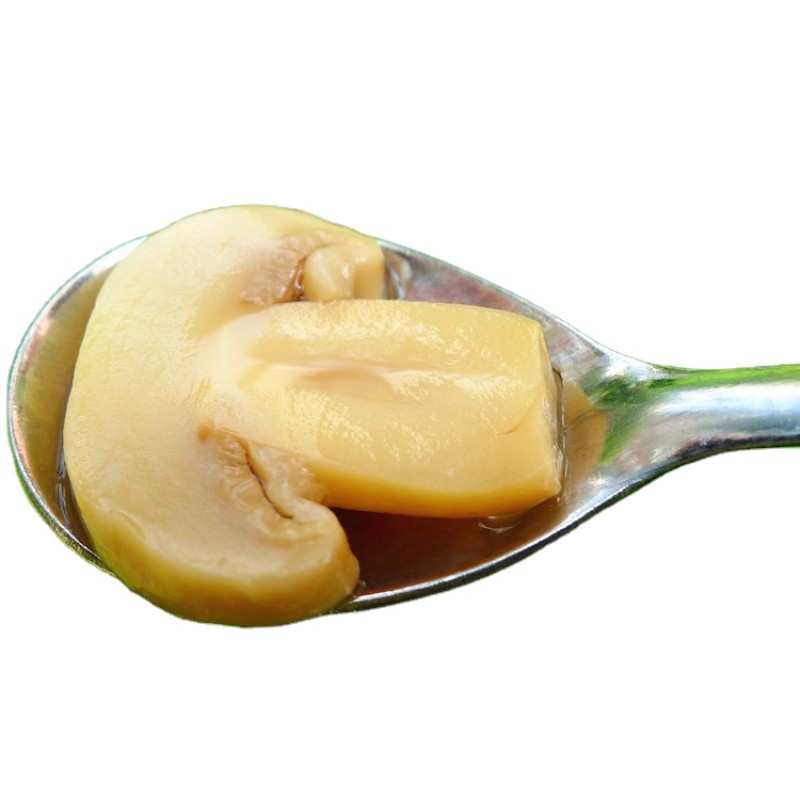 Canned Mushroom Supplier - Bulk Brined Slice Mushroom