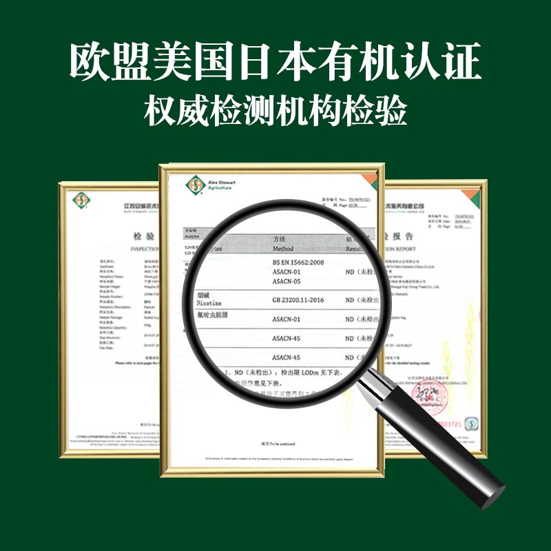 Goji Berry Manufacturer - Bulk Ningxia Organic Berry