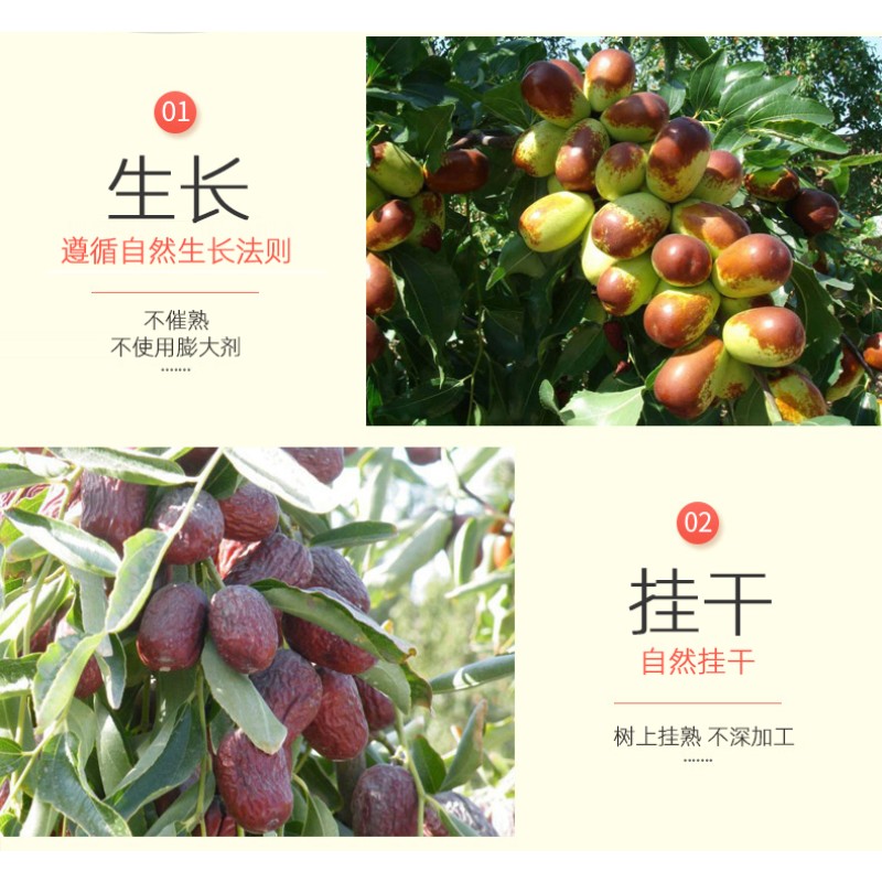 Red Jujube Supplier - OEM Xinjiang Dried Healthy Snack