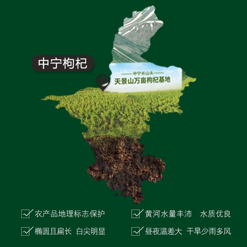 Goji Berry Manufacturer - Bulk Ningxia Organic Berry