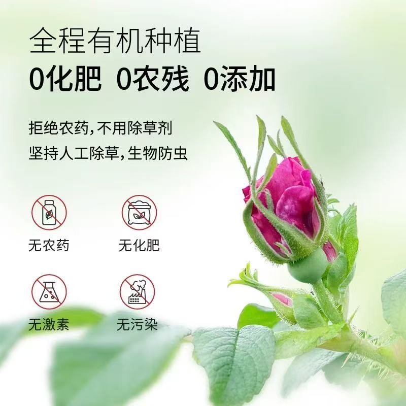 Rose Bud Tea Factory - Bulk Organic Health Tea