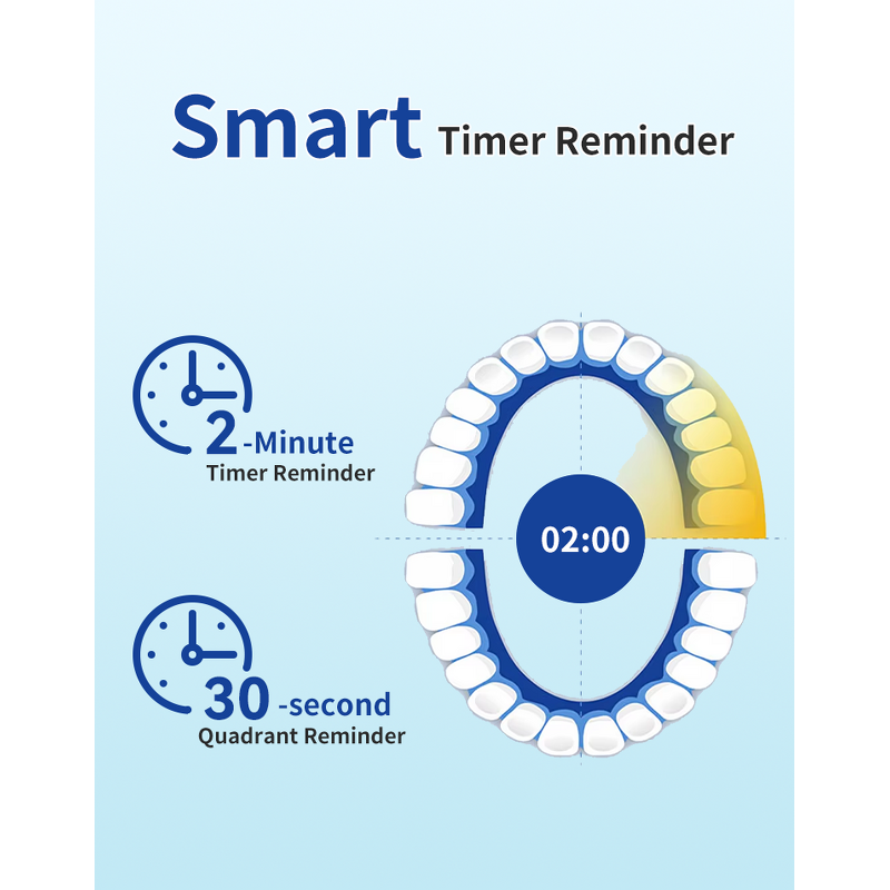 Electric Toothbrush Supplier - Wholesale USB Rechargeable Sonic