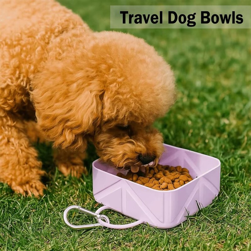 Pet Travel Bowl Supplier - 2in1 Collapsible Silicone Feeding Bowl