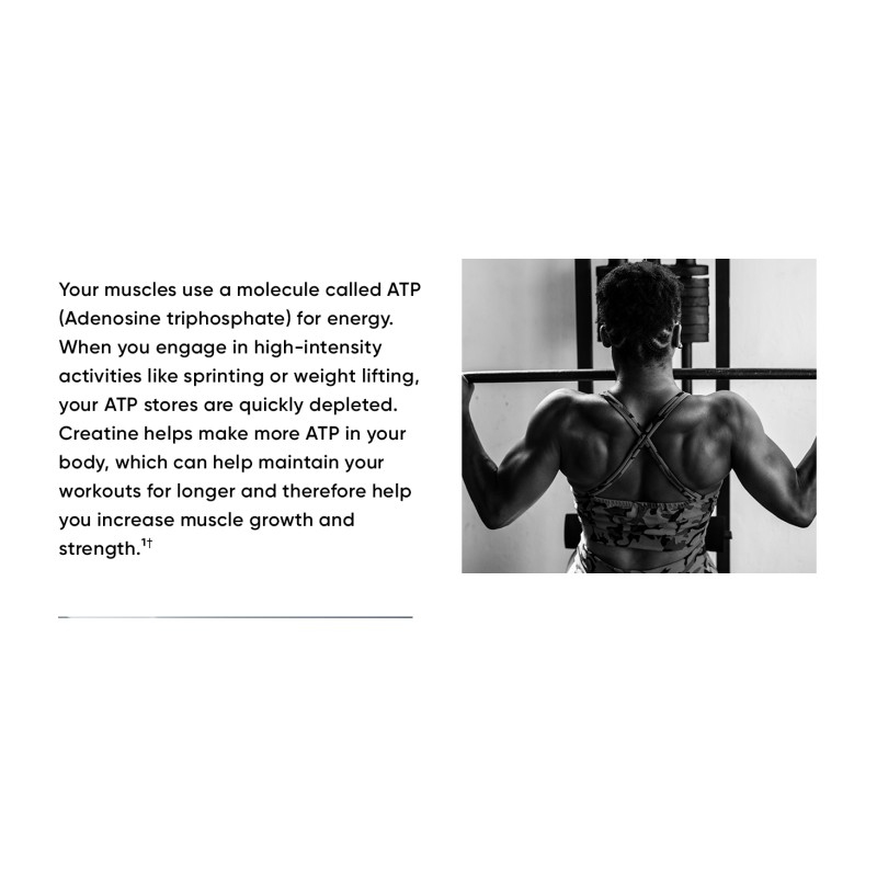 Organic Creatine Monohydrate Supplement  500G Support Muscle Growth High Quality Creatine Monohydrate Powder