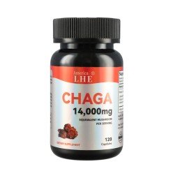 Mushrooms Chaga Mushrooms Capsules 120 Capsules Mushroom Extract Antioxidants Supplement Herbal Supplements Supplements