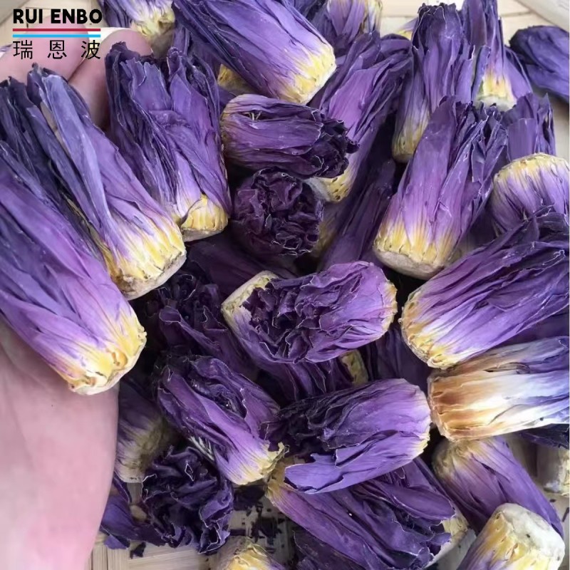 Blue Lotus Buds Supplier - Bulk Ready Stock Flower
