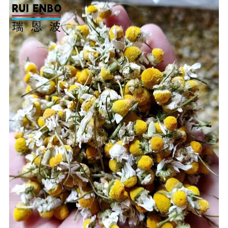 Chamomile Tea Supplier - Bulk Organic Loose Herb Tea