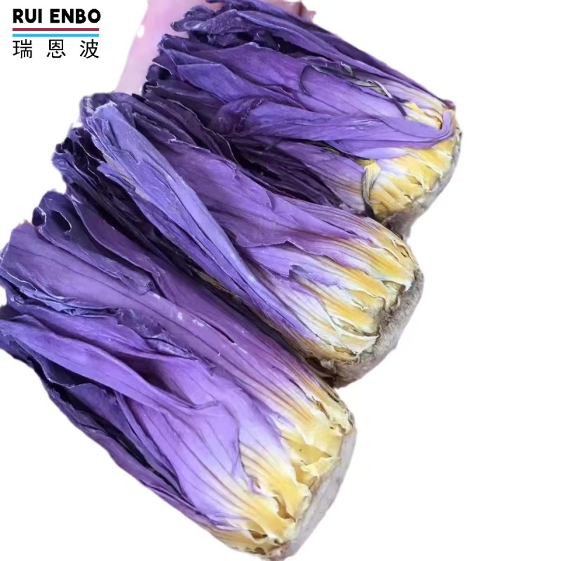 Blue Lotus Buds Supplier - Bulk Ready Stock Flower