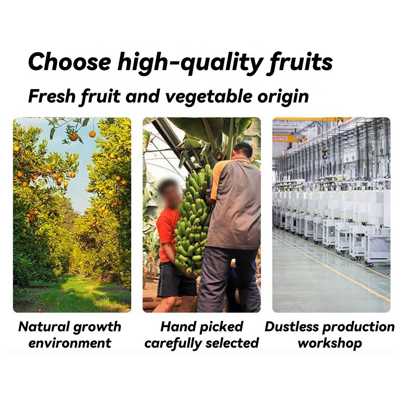 Fruit Crisps Supplier - OEM 10 Types Worldwide Shipping