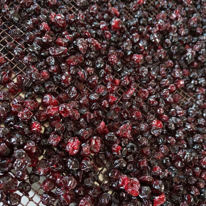 Dried Cranberries Manufacturer - OEM 500g Sour Sweet