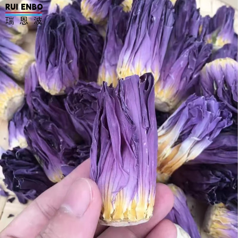 Blue Lotus Buds Supplier - Bulk Ready Stock Flower