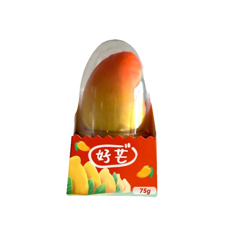 Fruit Ice Cream Manufacturer - OEM Customized Packaging