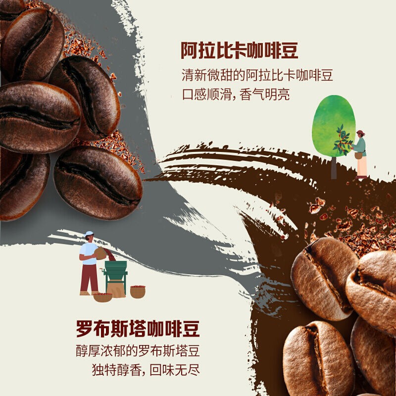 Coffee Powder Manufacturer - Bulk Low Sugar Gift Box