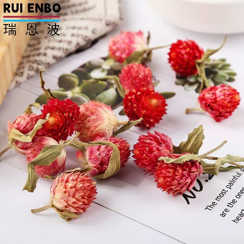 Red Globe Amaranth Supplier - OEM Women Artful Tea