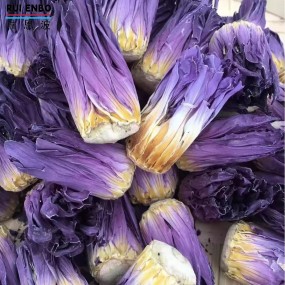 Blue Lotus Buds Supplier - Bulk Ready Stock Flower