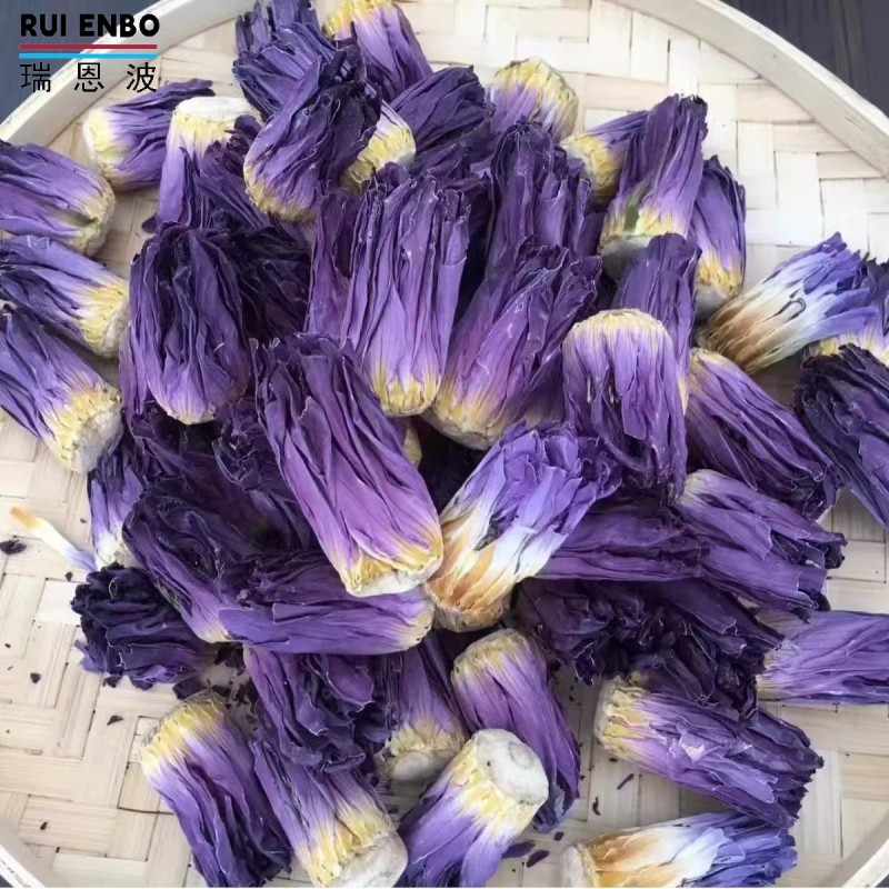 Blue Lotus Buds Supplier - Bulk Ready Stock Flower