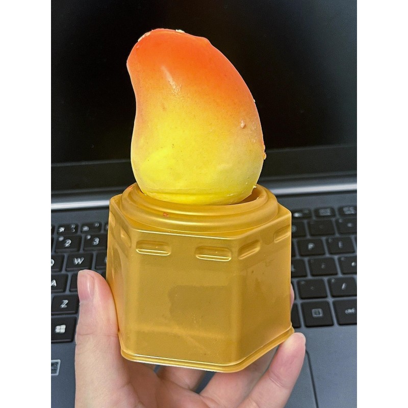 Fruit Ice Cream Manufacturer - OEM Customized Packaging