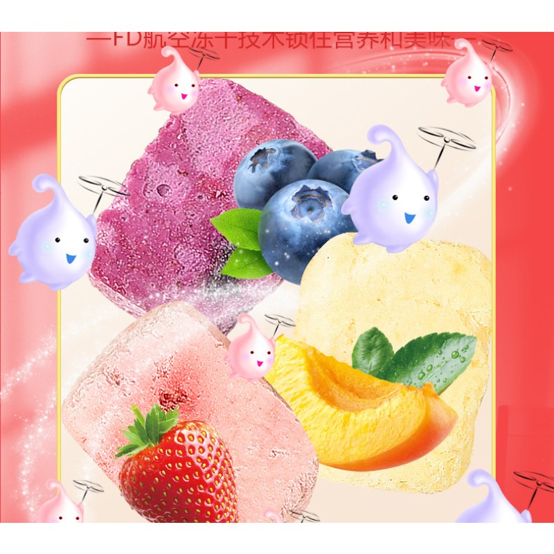 Mixed Fruit Oatmeal Factory - OEM 500g Instant Oatmeal