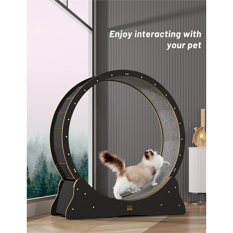 Cat Toys Factory - Hot Selling Circle Track Wood Exercise Wheel