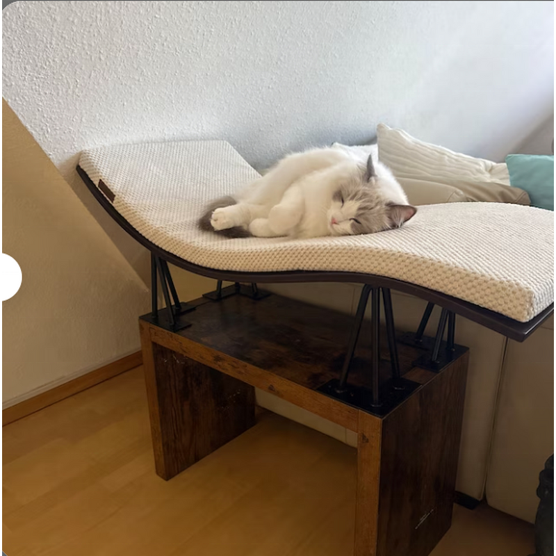 Cat Wall Shelf Factory - New Curved Wave Cat Wall Shelf