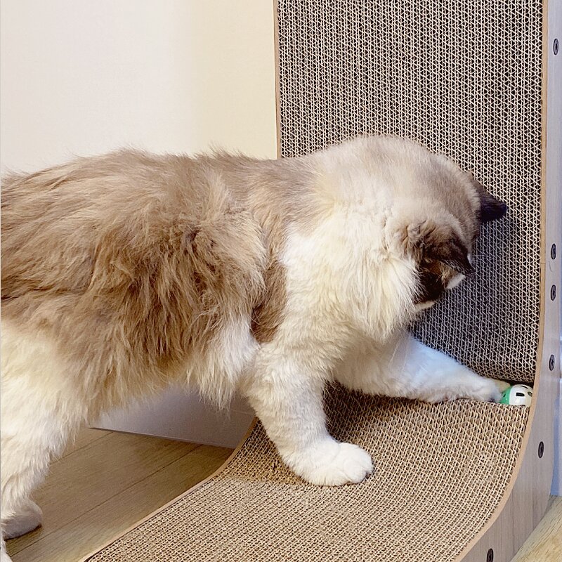 Cat Scratching Board Factory - Wholesale Cardboard Replaceable Scratcher