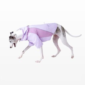 Dog Protection Vest Factory - 2025 New Waterproof Reflective Jacket