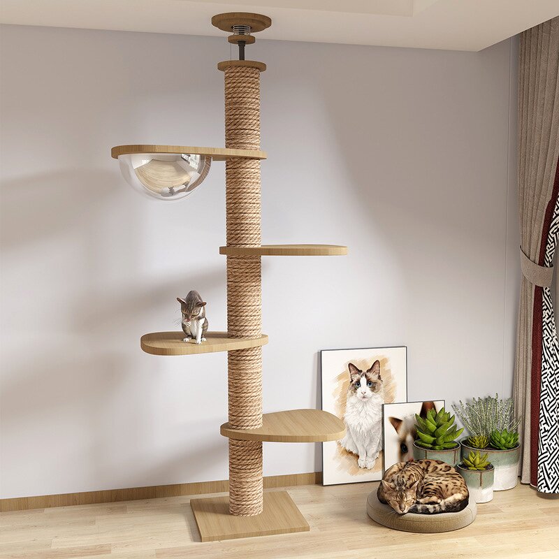 Cat Tree Factory - OEM ODM Cat Climbing Frame with Capsule