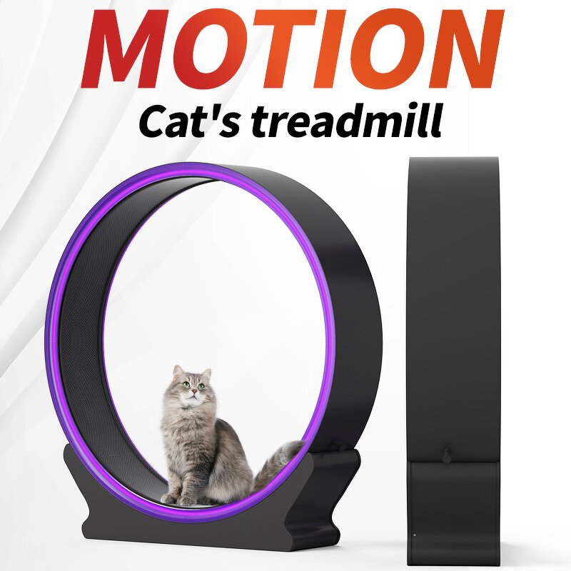Cat Interactive Toys Factory - Source Factory ABS Pet Treadmill