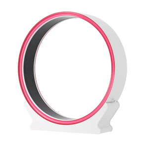 Pet Running Wheel Factory - Intelligent ABS Exercise Weight Loss Toy