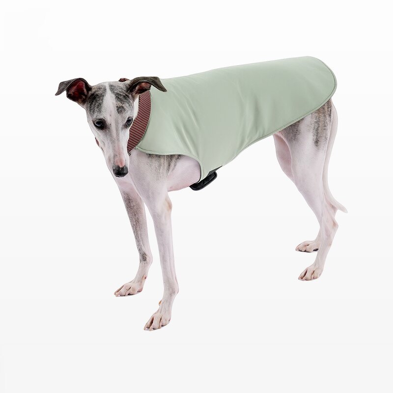 Dog Clothes Factory - High Quality Custom Waterproof Trainer Vest