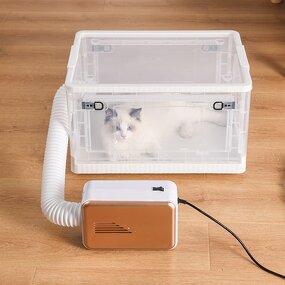 Pet Dryer Box Factory - Cat Noise Reduction Transparent Drying Box