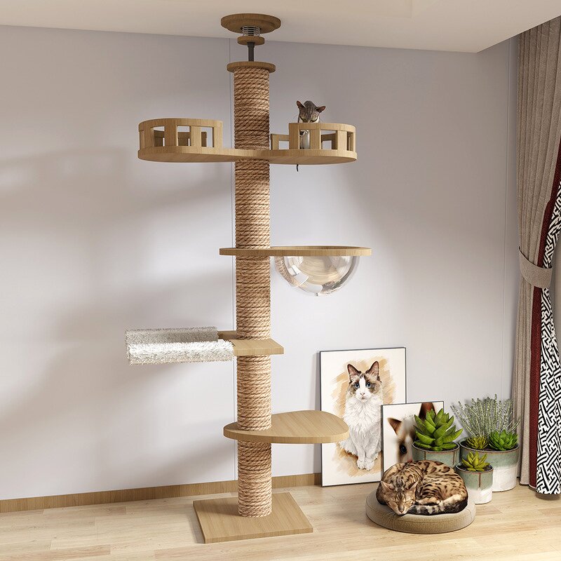 Cat Tree Factory - OEM ODM Cat Climbing Frame with Capsule