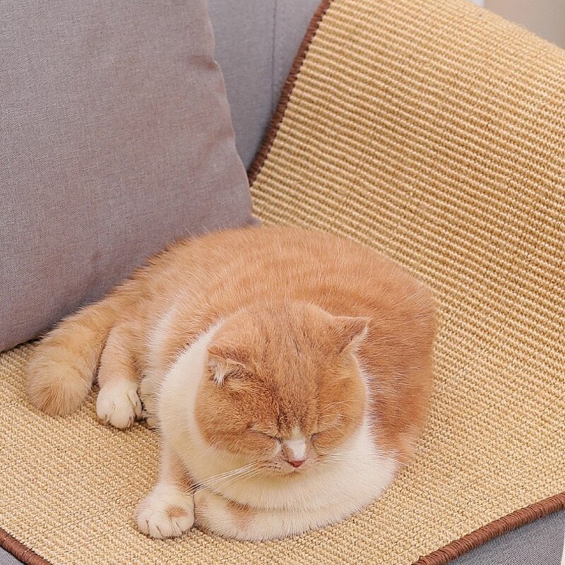 Cat Scratching Board Factory - Wholesale Foldable Sofa Protector