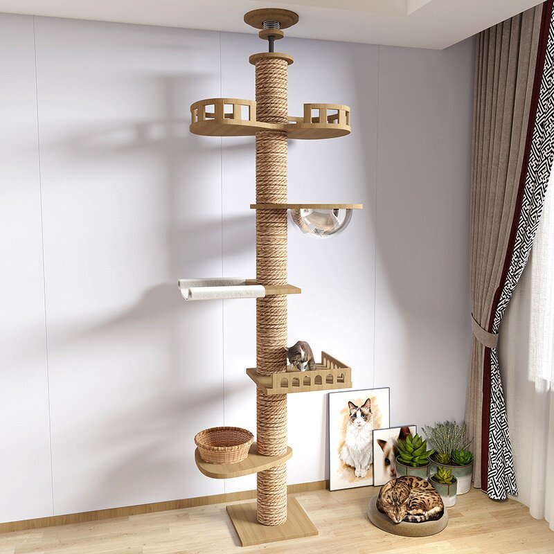 Cat Tree Factory - OEM ODM Cat Climbing Frame with Capsule
