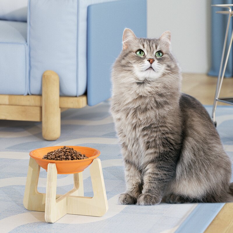 Pet Bowl Factory - New Plastic Food Water Feeding Bowl Bottle