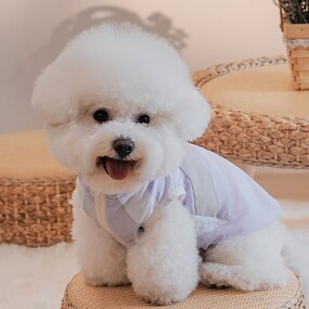 Dog Clothes Factory - Fashion Pet Sports UV Protection Clothing