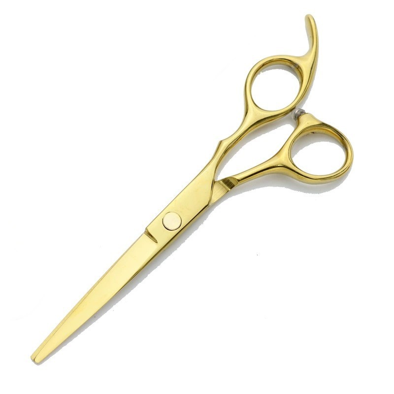 Hair Scissors Manufacturer - 6 Inch Thinning Custom Logo Stainless