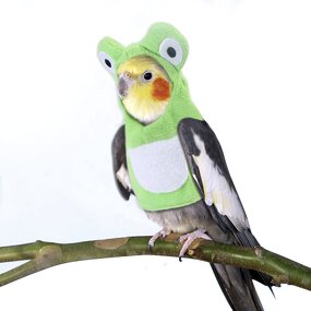 Pet Bird Clothes Manufacturer - Cute Frog Cosplay Costume