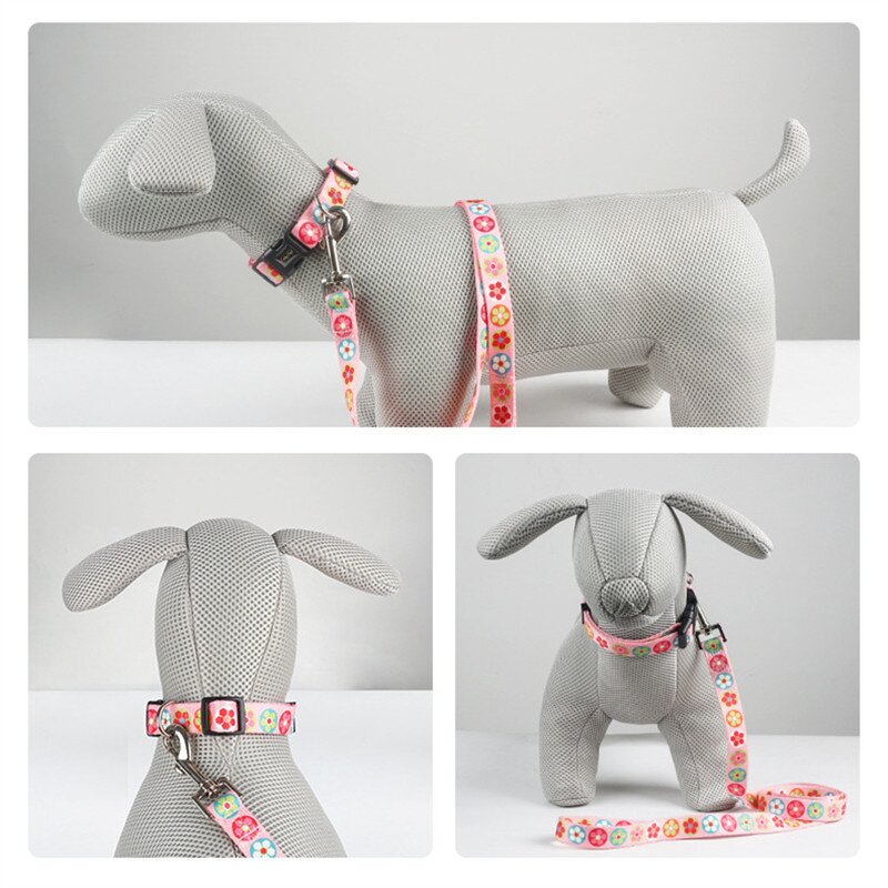 Pet Collar and Leash Factory - Nylon Printed Adjustable Set