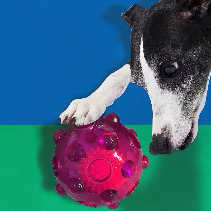 Dog Toy Ball Factory - LED Light Hollow Squeaky Toy